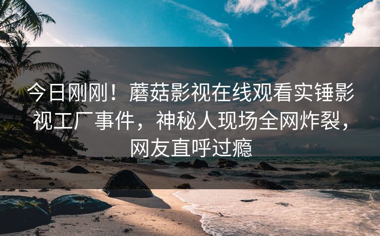 今日刚刚！蘑菇影视在线观看实锤影视工厂事件，神秘人现场全网炸裂，网友直呼过瘾