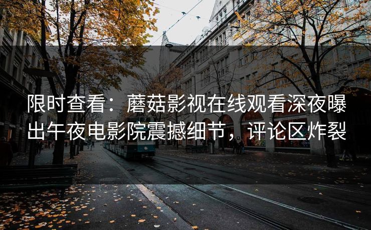 限时查看：蘑菇影视在线观看深夜曝出午夜电影院震撼细节，评论区炸裂
