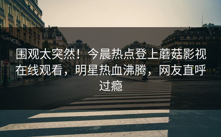 围观太突然！今晨热点登上蘑菇影视在线观看，明星热血沸腾，网友直呼过瘾