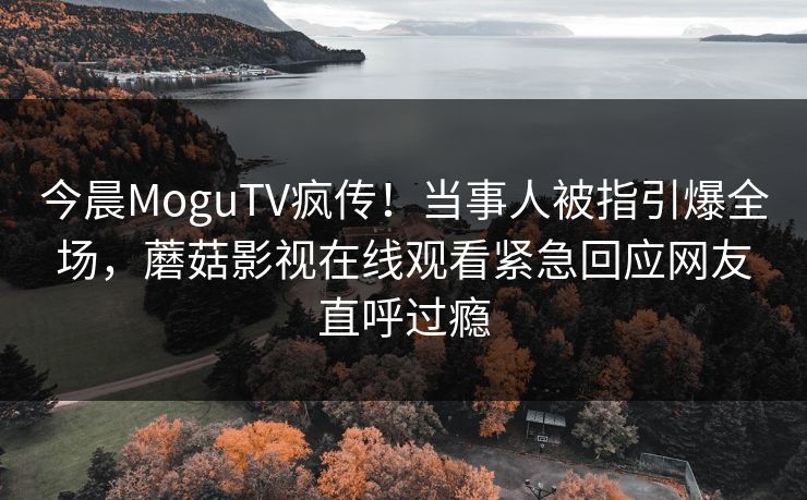 今晨MoguTV疯传！当事人被指引爆全场，蘑菇影视在线观看紧急回应网友直呼过瘾