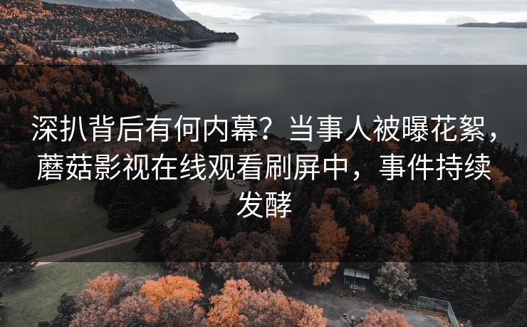 深扒背后有何内幕？当事人被曝花絮，蘑菇影视在线观看刷屏中，事件持续发酵