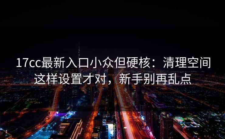 17cc最新入口小众但硬核:清理空间这样设置才对,新手别再乱点