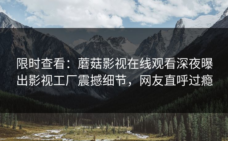 限时查看：蘑菇影视在线观看深夜曝出影视工厂震撼细节，网友直呼过瘾